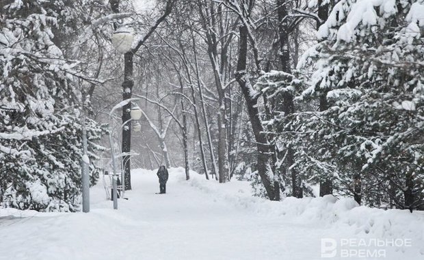 realnoevremya.ru/Максим Платонов