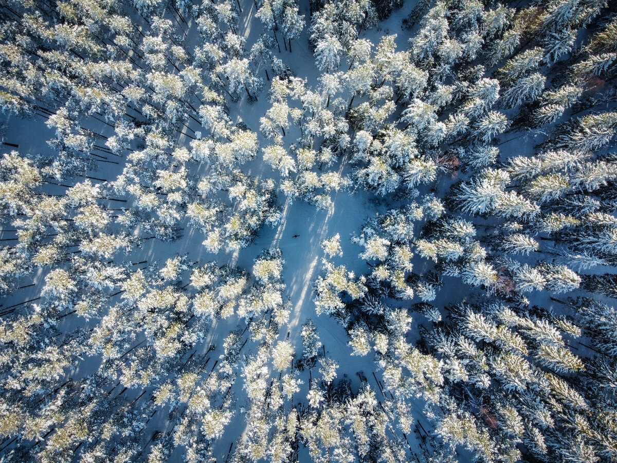 На этом фото - точка в центре это я)))