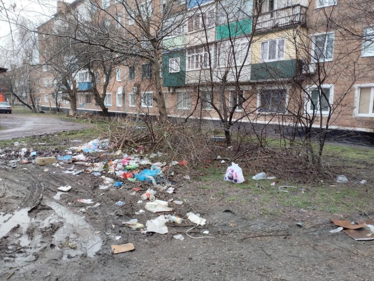 В Гуково упавшая ветка перекрыла проезд во двор жилого дома | Donday.ru |  Дзен