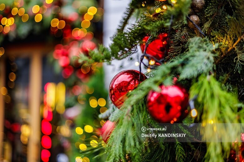    Фото: Дмитрий Кандинский / vtomske.ru