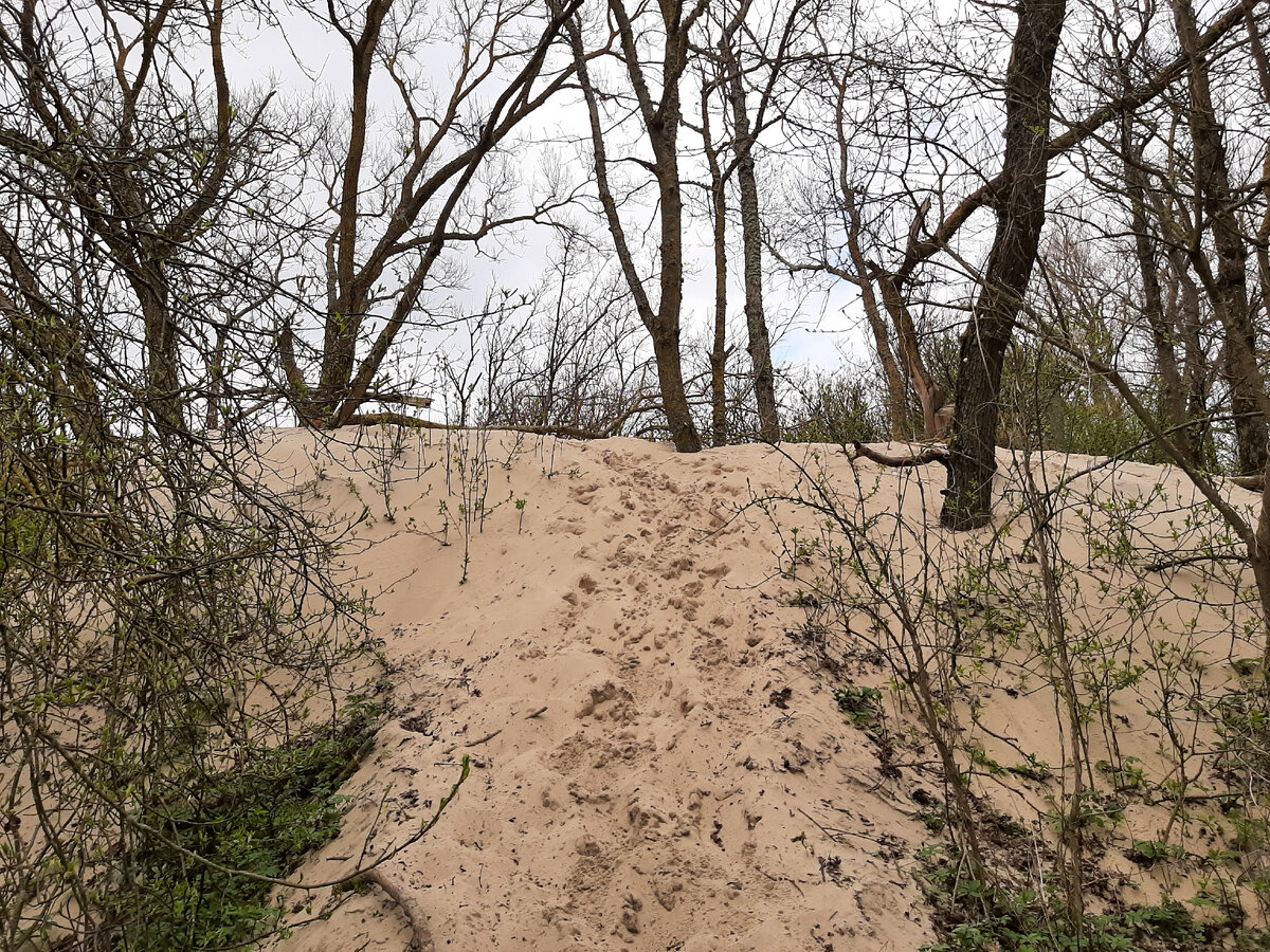 Поисковые туристические группы все собрали еще в пять утра
