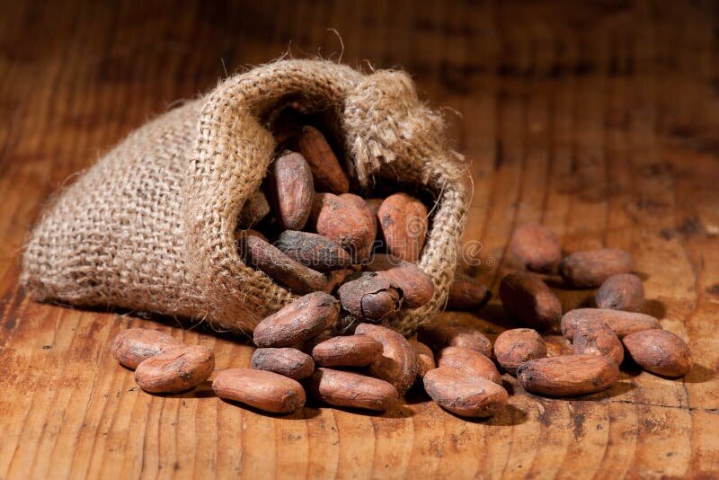 Из этого делают эти ваши шоколадки