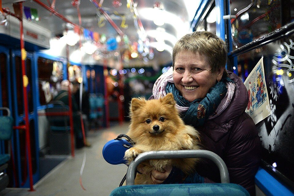   Виктор ГУСЕЙНОВ