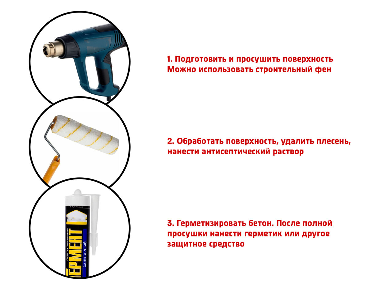 Плесень уничтожает фундамент дома! Как с ней справиться? | Бетон Нептун  Иркутск | Дзен