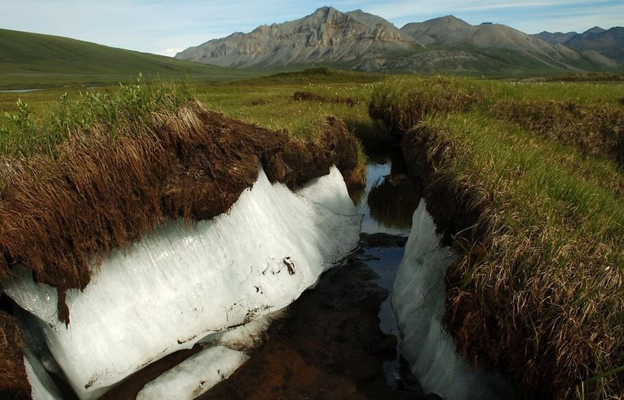 Источник: Интернет. Таяние вечной мерзлоты в тундре 