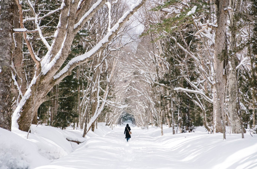 Фото: freepik.com