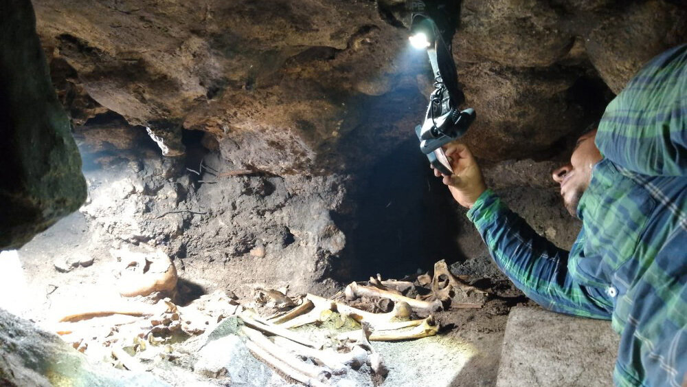    Фото: Proyecto de investigación Promeza, Tulum. Jerónimo Aviles Olguin.