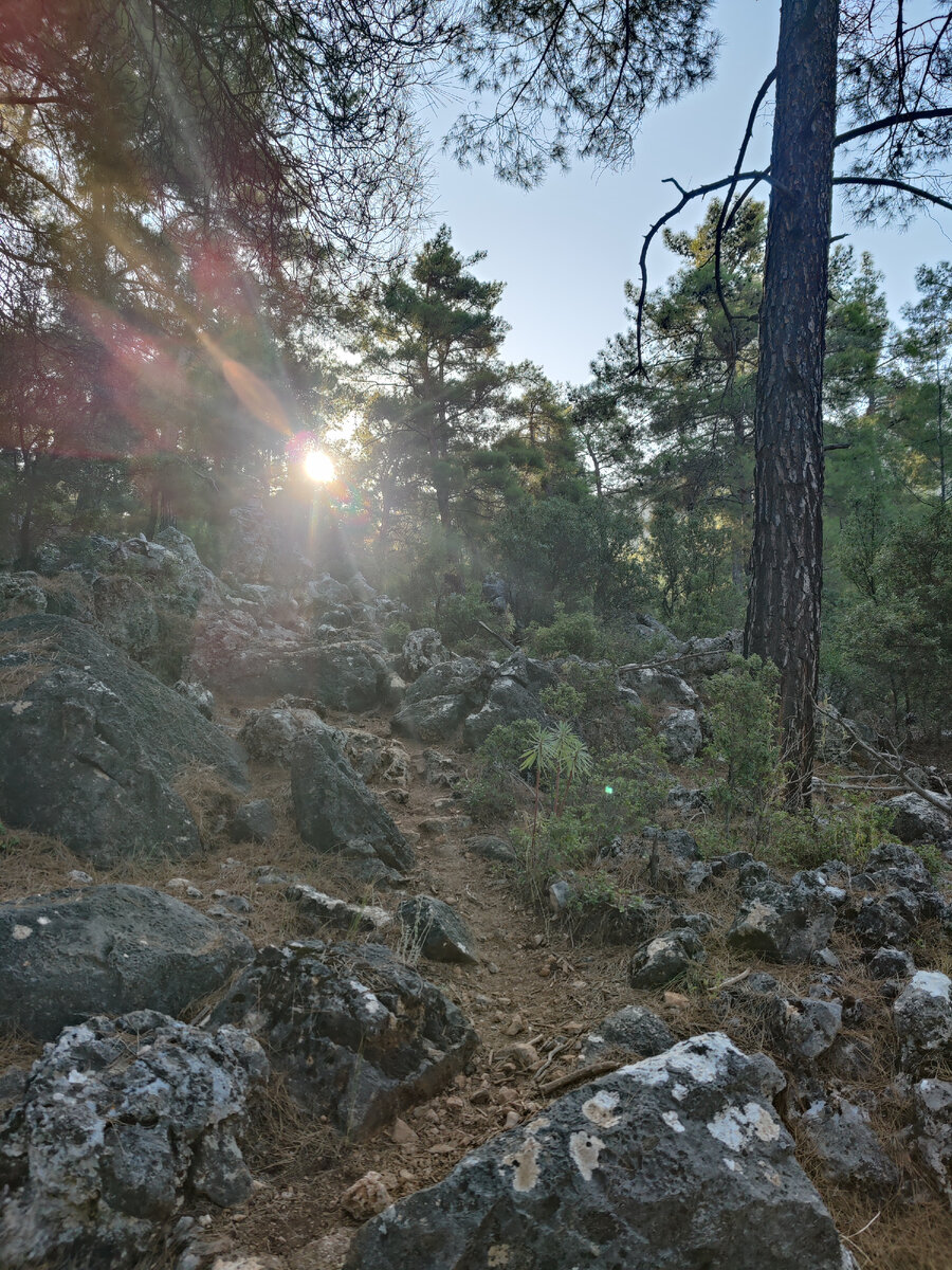 Снова идём в лес. Тропа читается. Но я всё равно потерялся на 10 минут.