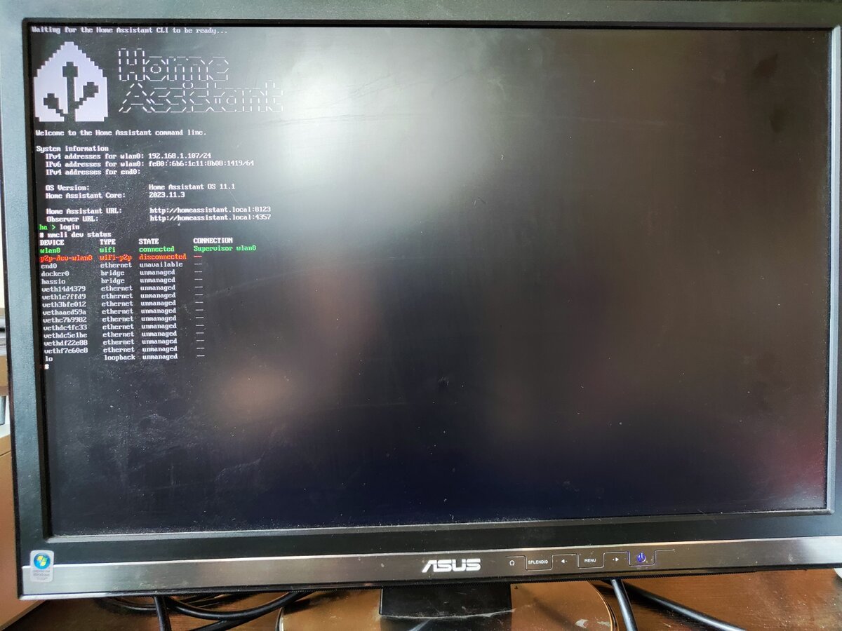 Работа в командной строке Home Assistant