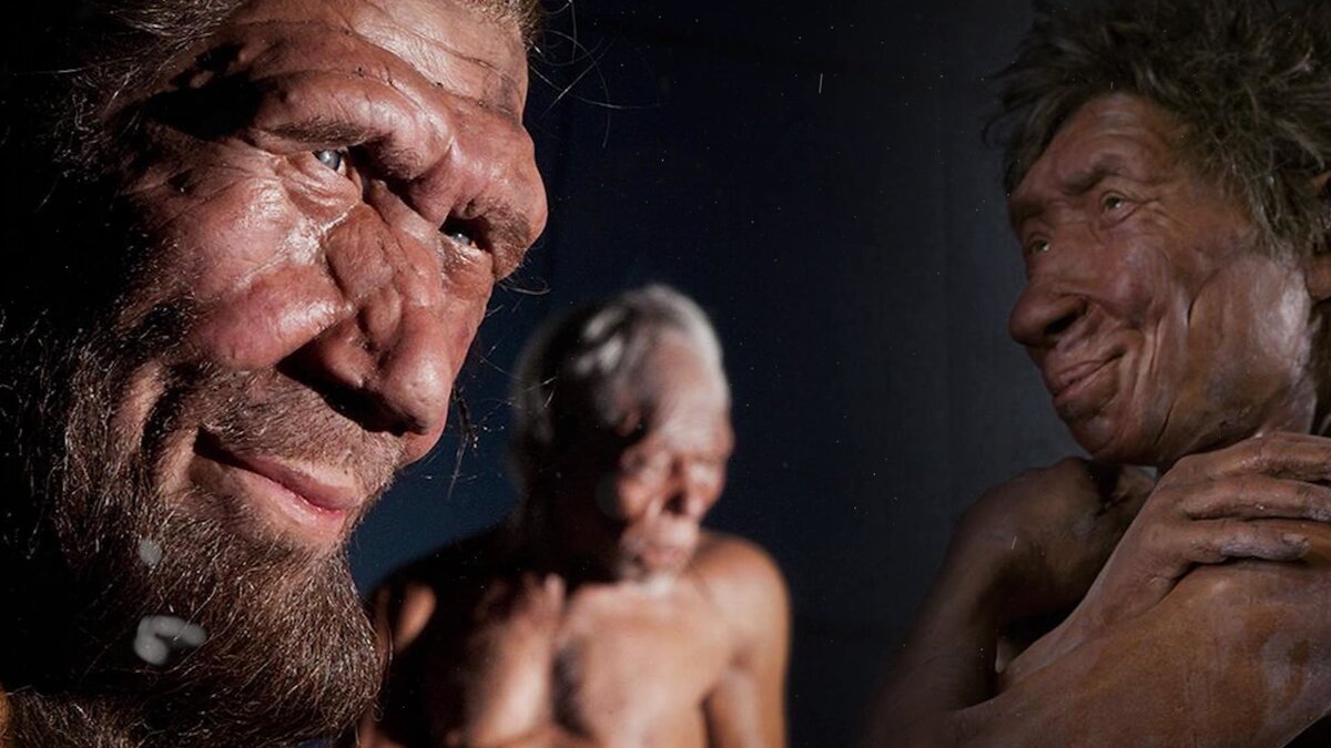 Источник: Интернет