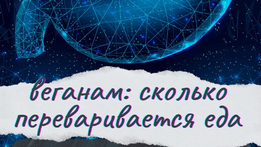 FIT FOR FUN | Сколько переваривается еда (вегетарианская) | Дзен