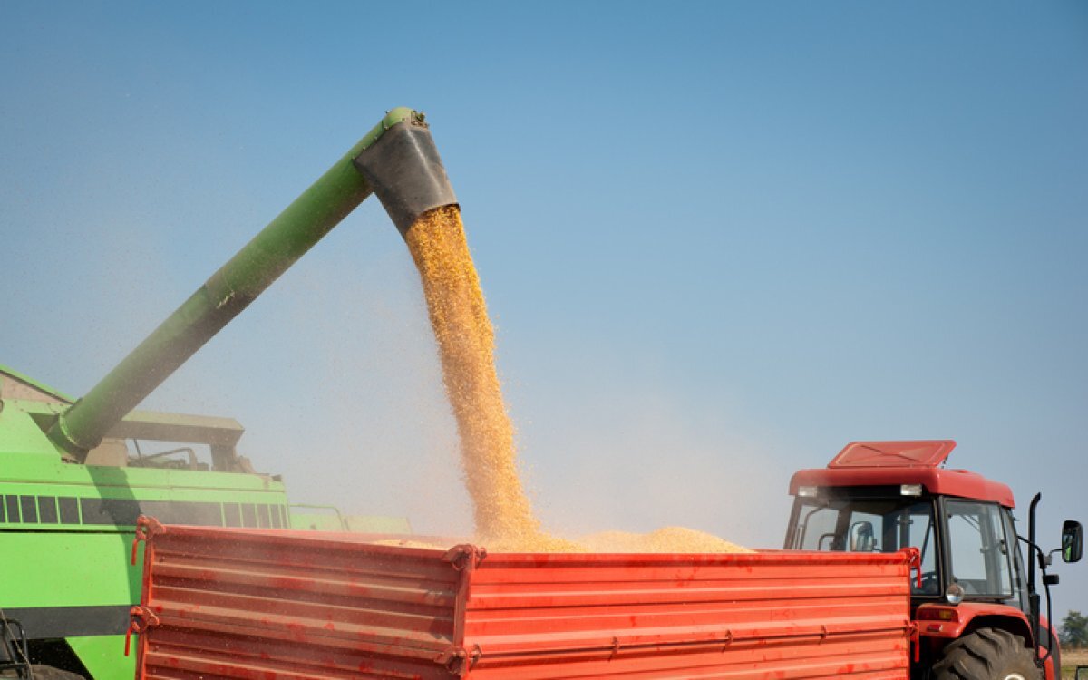    «Руспродсоюз»: Россия перевыполнила норму по производству продуктов