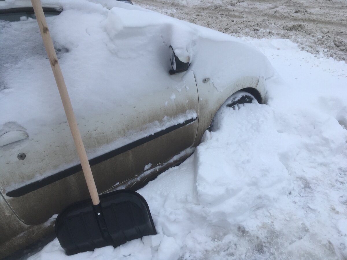 ЛОПАТА — ЛУЧШИЙ ПОДАРОК. ФОТО: ЦАРЬГРАД. 