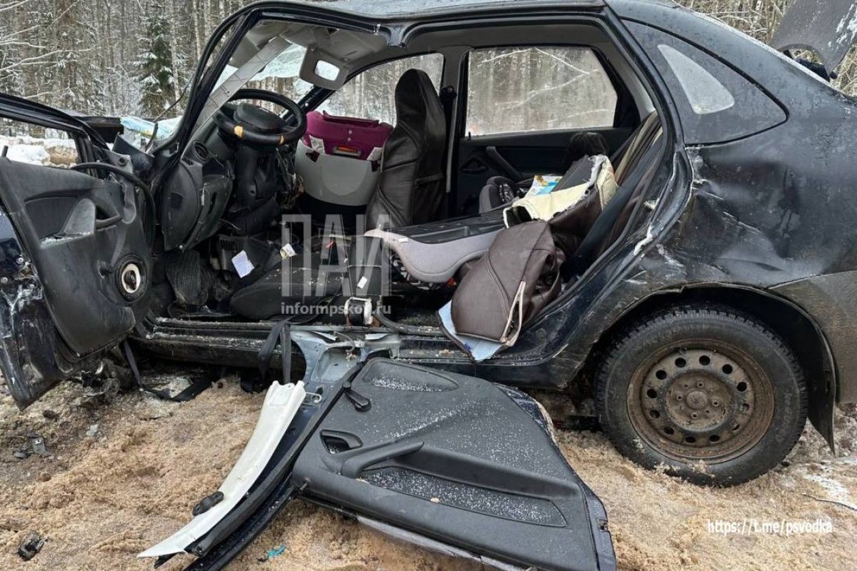    Двое детей и трое взрослых пострадали в ДТП в Невельском районе