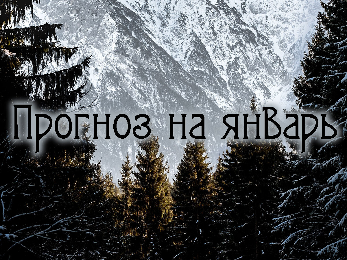 И рыбку съесть, и на елку влезть. Астрологический прогноз на январь 2024  года. Второе – особые дни января | Влечёт астрология | Дзен