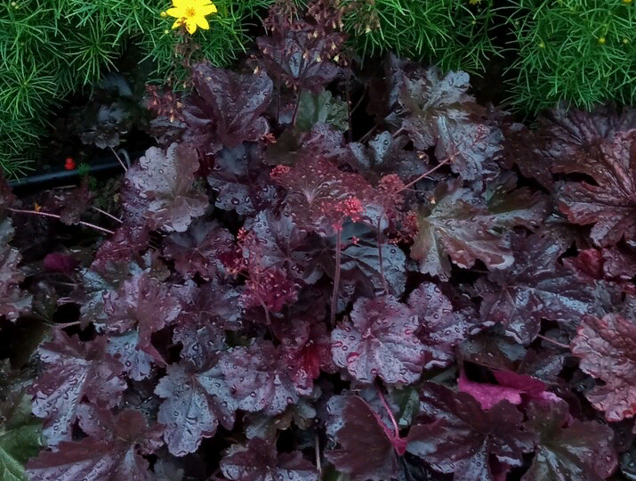 Разбираем ответы на вопросы конкурса, для всех будет полезно, с ссылками на статьи