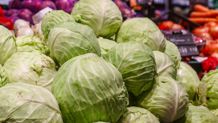 ФОТО: BULKIN SERGEY/GLOBALLOOKPRESS