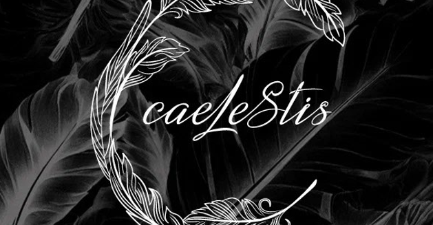 Новый логотип коллекции повседневной одежды #LeSte
