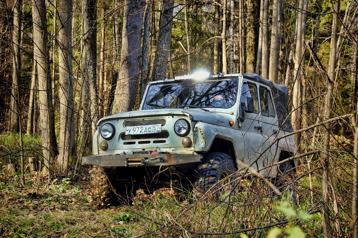 УАЗ 31512. УАЗ Хантер Экспедиция. УАЗ 469 В лесу. УАЗ Хантер в лесу.