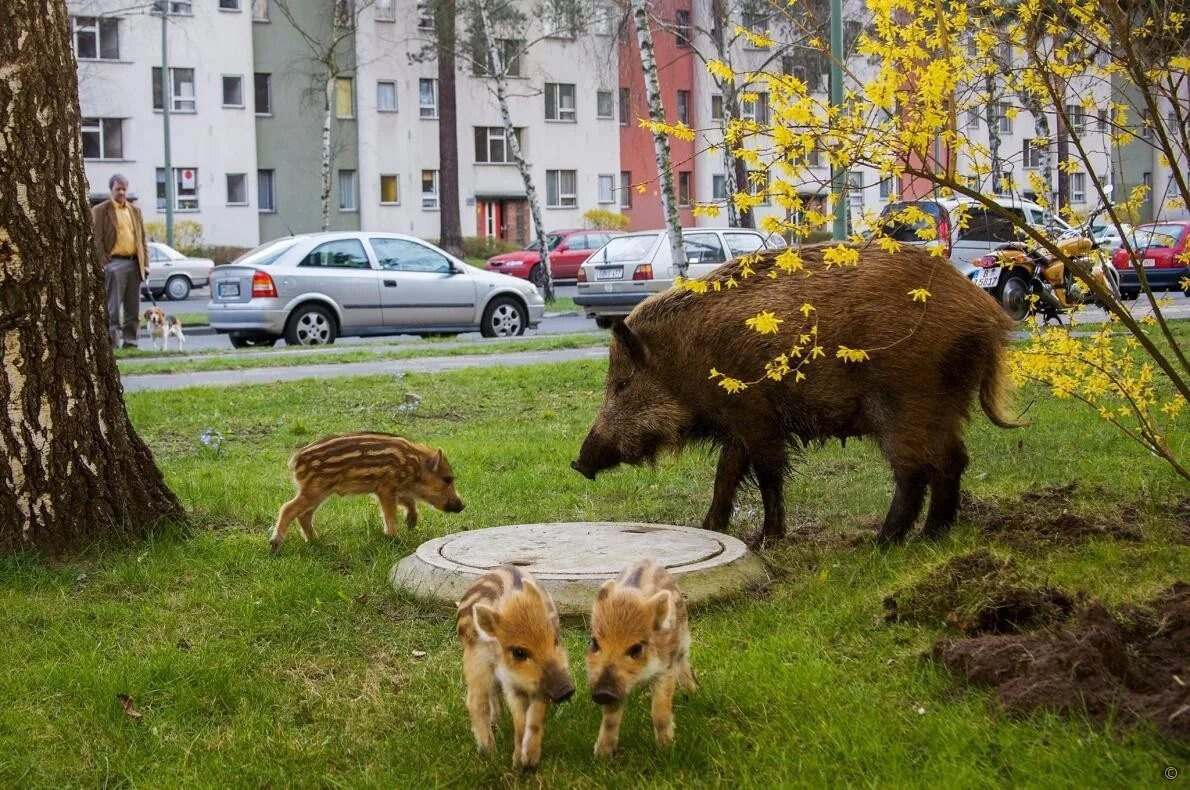 Дети, вот этот камень всё время тёплый. Здесь и перезимуем. 