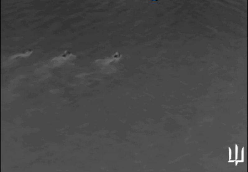 Фото: Кадр видео