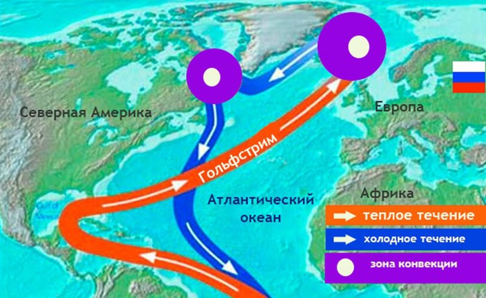 Почему гольфстрим может остановиться цепочка