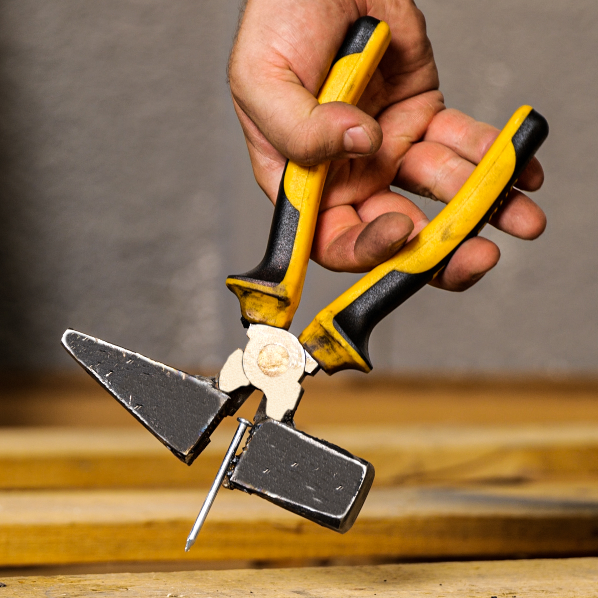 Фото взято из открытых источников