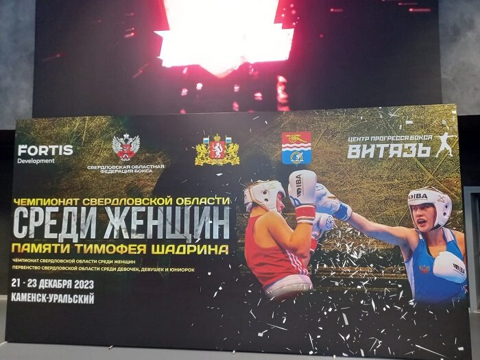 В декабре 2023 года, в городе Каменск-Уральский, состоялось Первенство Свердловской области по боксу среди девушек-юниорок и женщин.