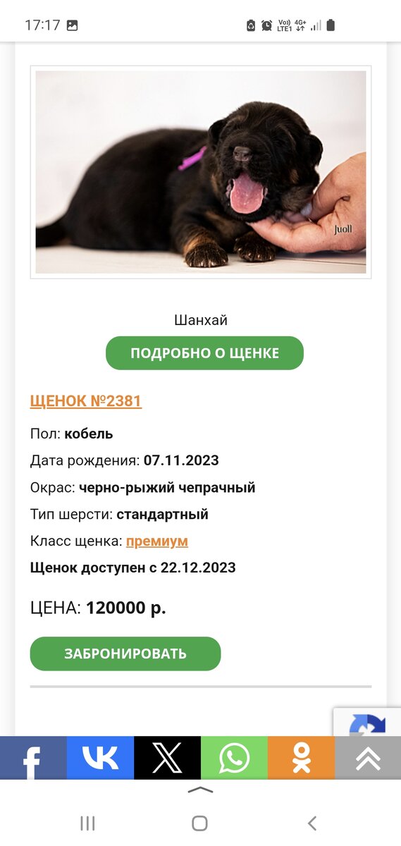 Можно собакам перец Можно собакам перец