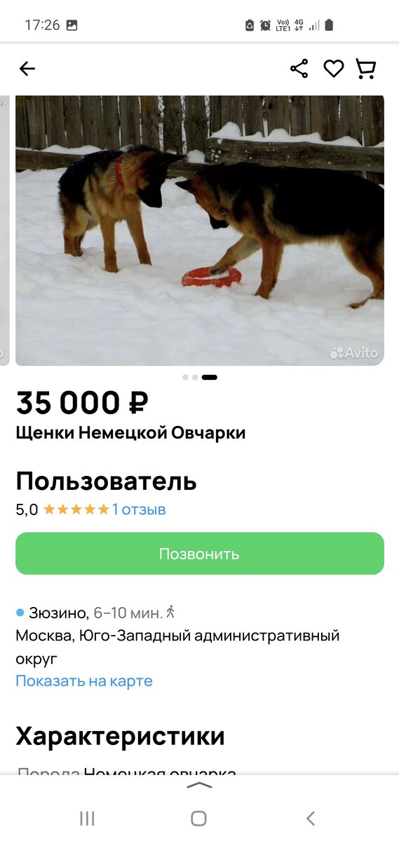 Можно ли собакам вареную