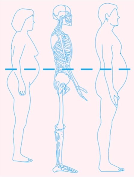 Уровень измерения окружности талии