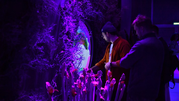 ФОТО: KOMSOMOLSKAYA PRAVDA/GLOBAL LOOK PRESS/GLOBALLOOKPRESS 