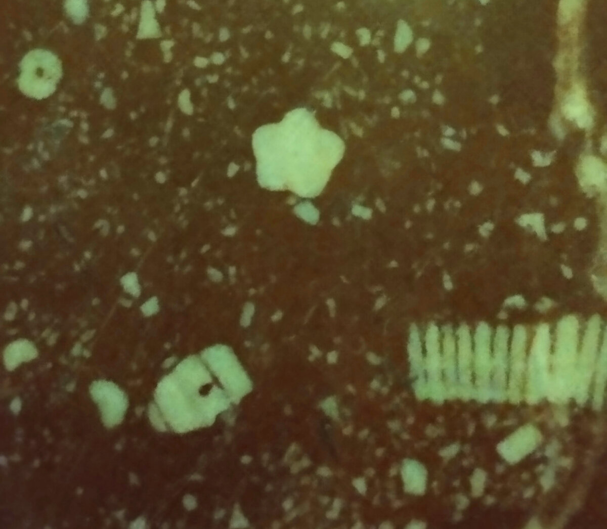 Цветочек наверху - это, кажется, каменная лилия