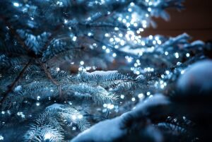    фото: freepik.com/teksomolika Мария Михайловская