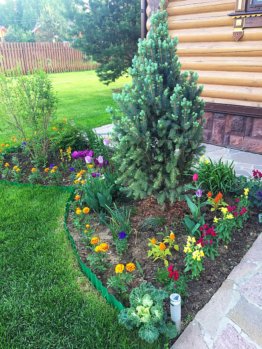 Сельскохозяйственный ландшафт. Поле уровень земли. Поле рядом с лесом. Поле с высоты птичьего полета. Поле уровень земли.