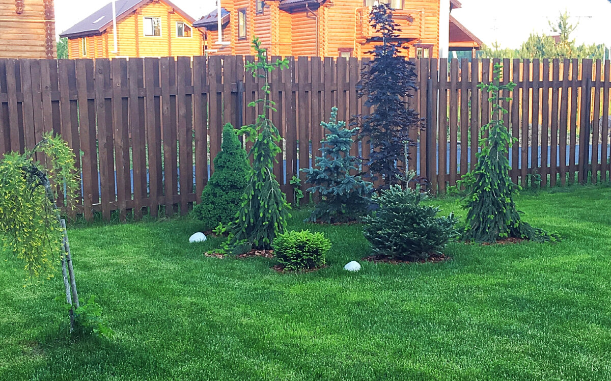 Образование земли. Зарождение планеты. Возникновение жизни на земле. Вид земли из космоса. Луна полая внутри.