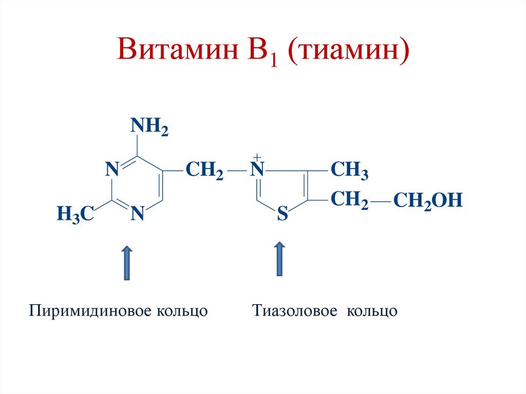 Вариант изображения формулы тиамина. Изображение взято из интернета