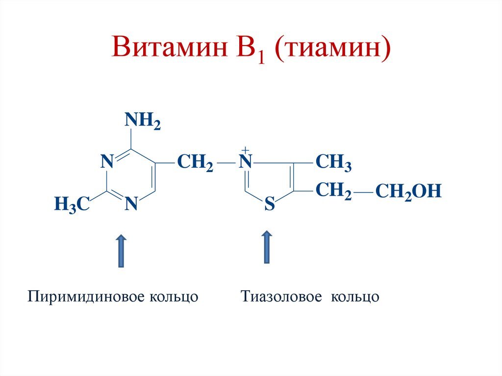 Фолиевая тиамин. Тиамин механизм действия. Тиамин 2.0. Л тиамин. Тиамин физическое действ.