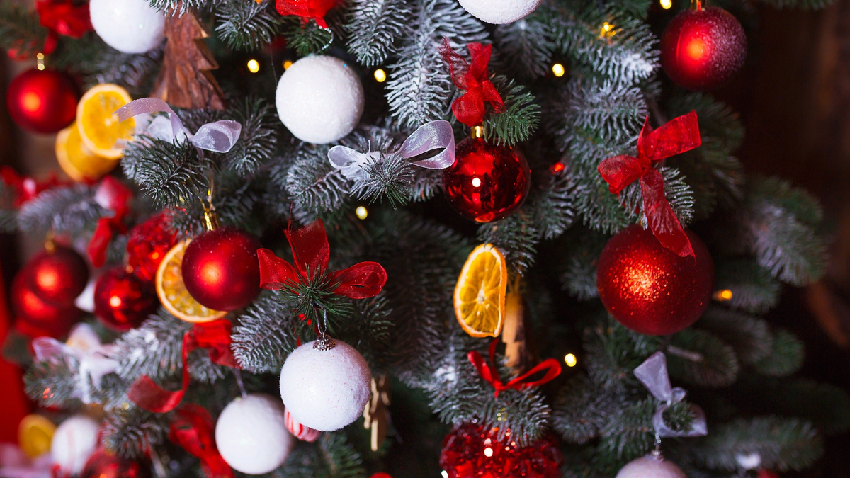 фото в свободном доступе