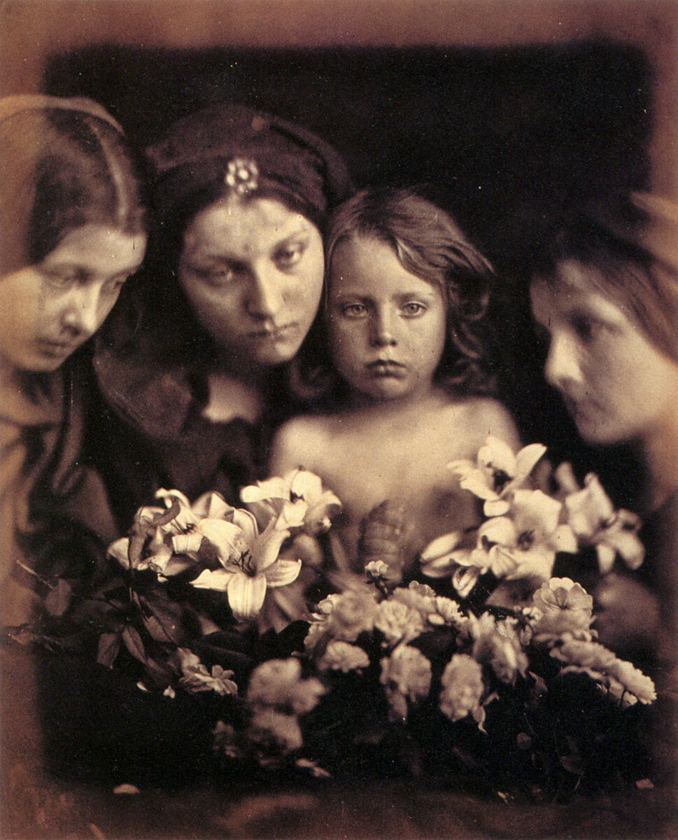 фотохудожником фотографии. профессиональный фотограф. фотосессия с фотоаппаратом. фотоаппарат фотографирование. фотохудожником фотографии.