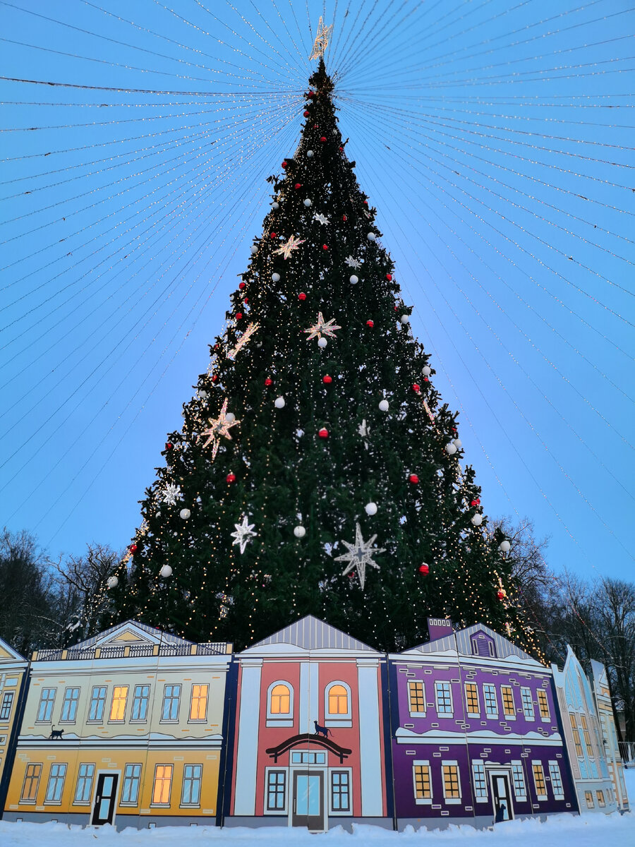 Великий Новгород 