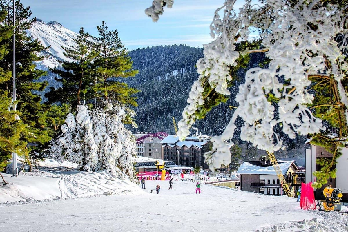 архыз сегодня