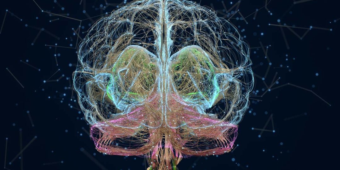 Упражнения для здоровья мозга