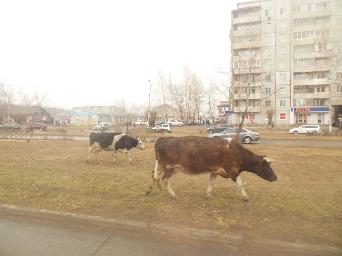 Важные и целеустремлённые.