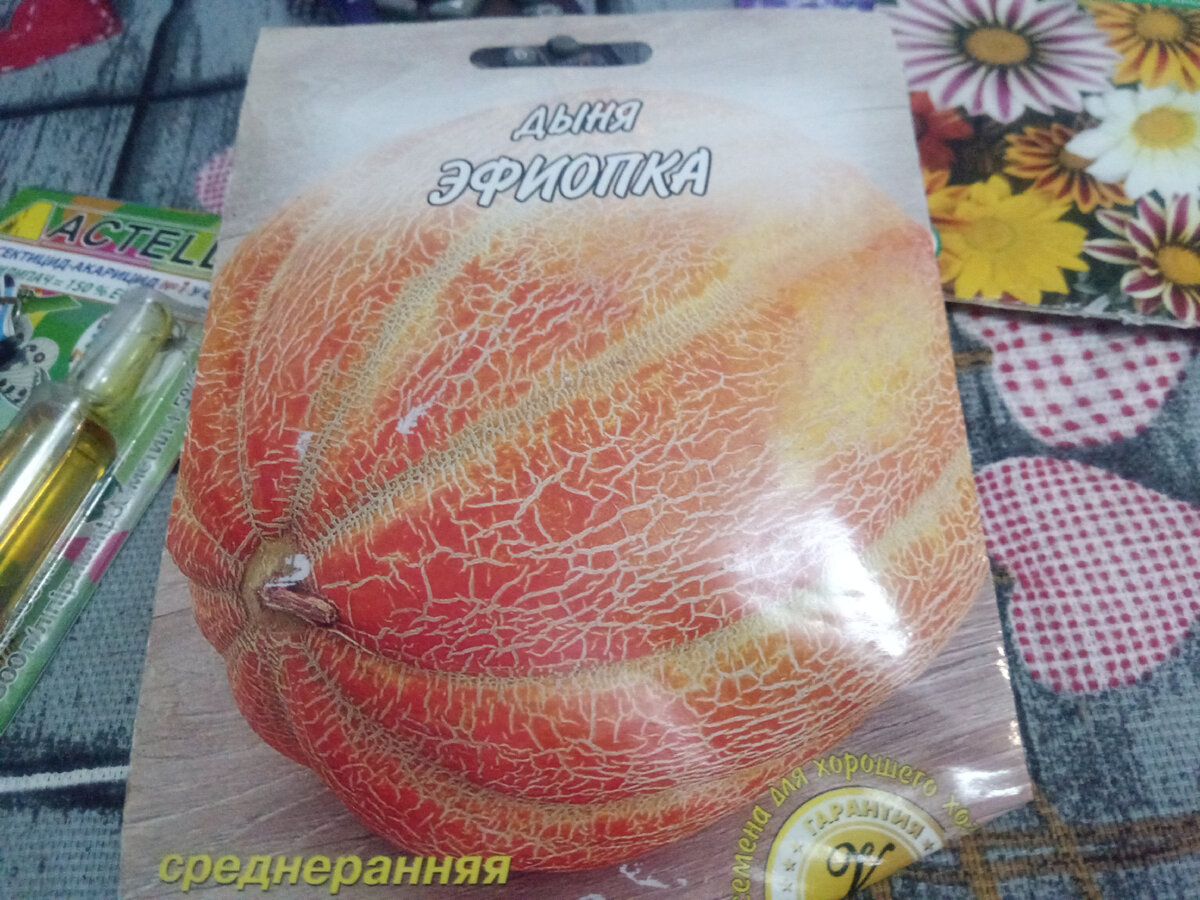 Тыква. Пакетик с семенами