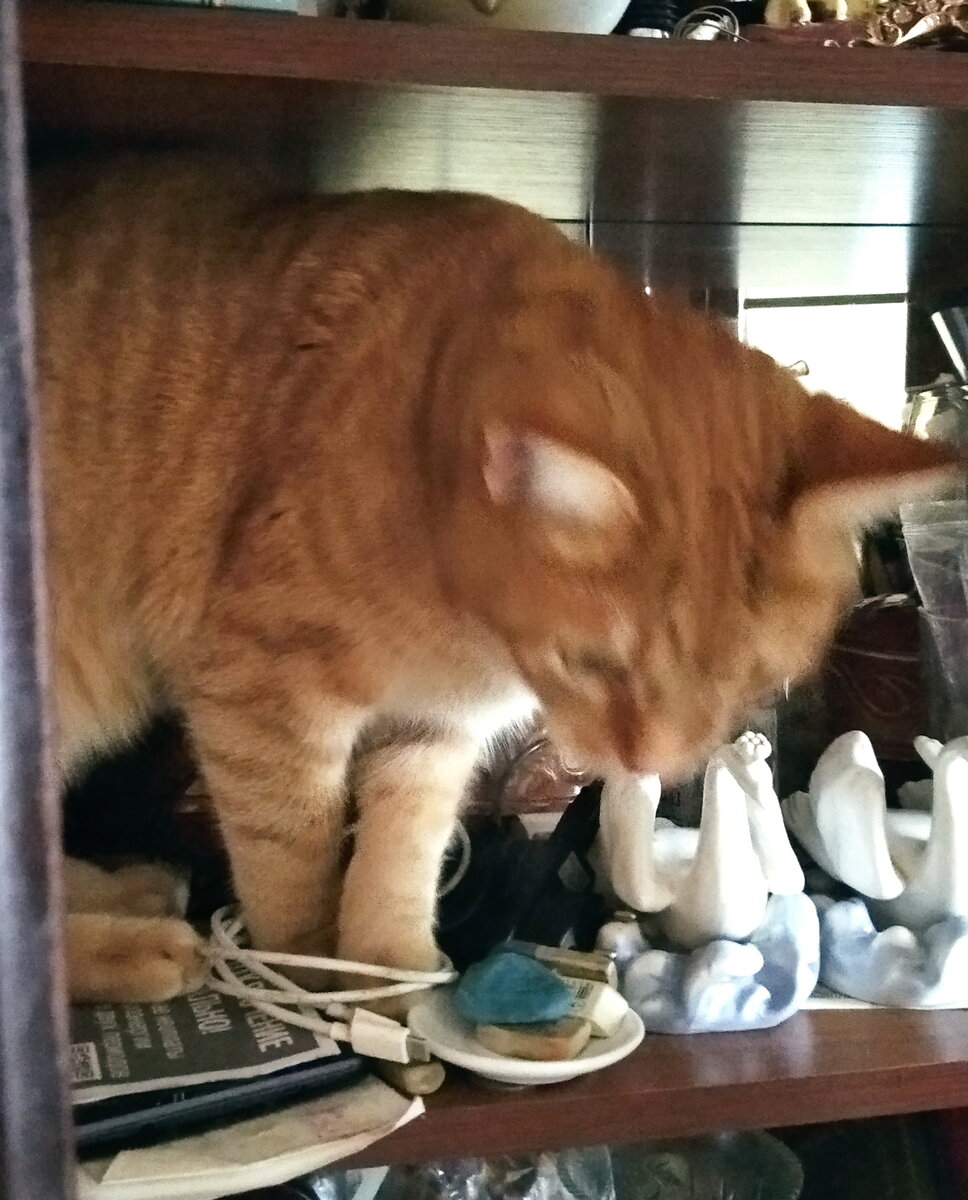 Личное  фото