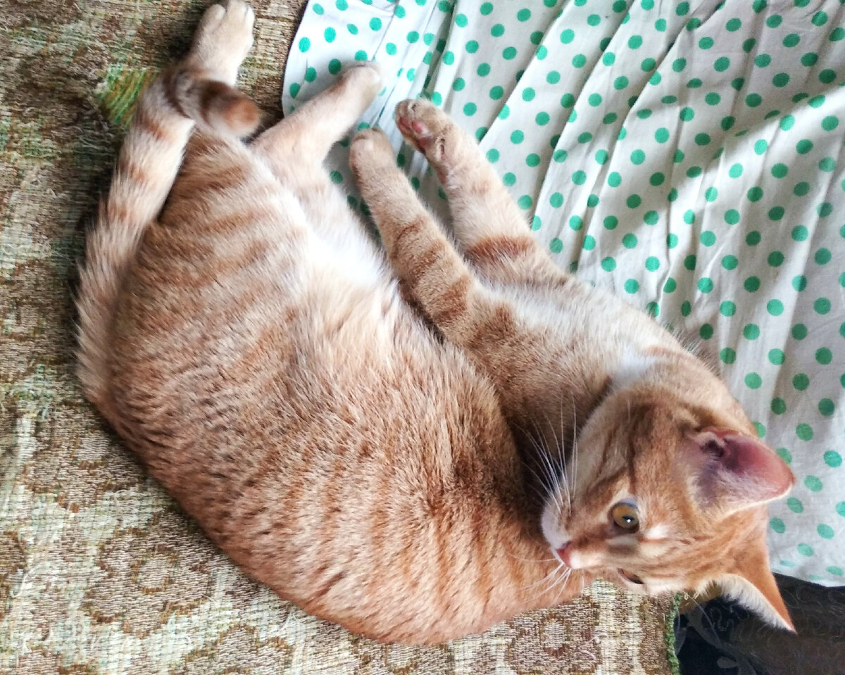 Личное  фото