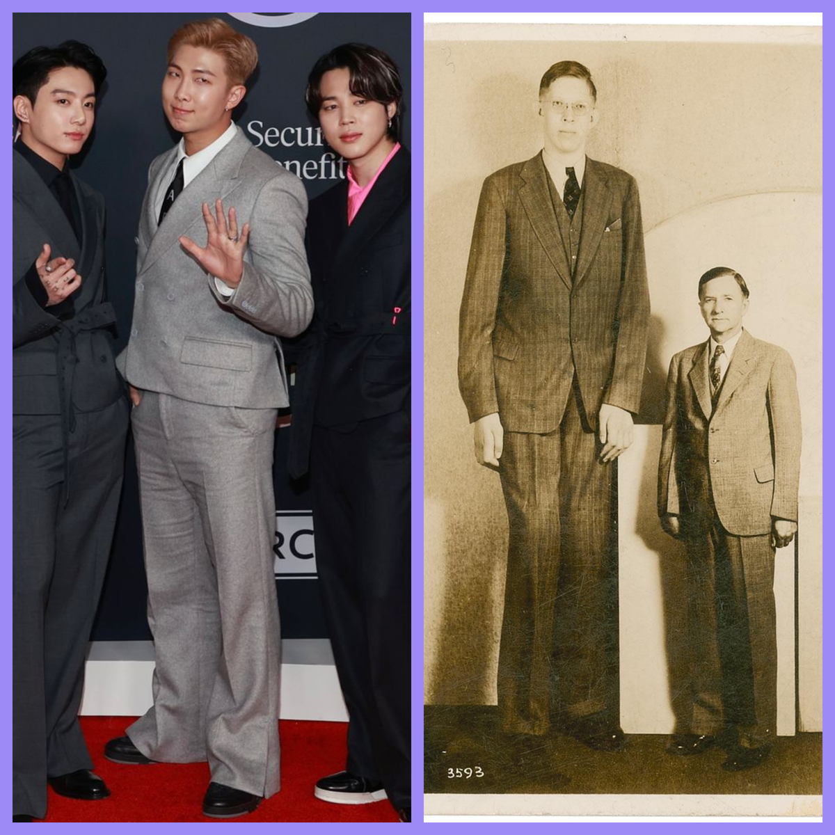 Ну, не такой уж и  гигант ... вот справа -2м75см