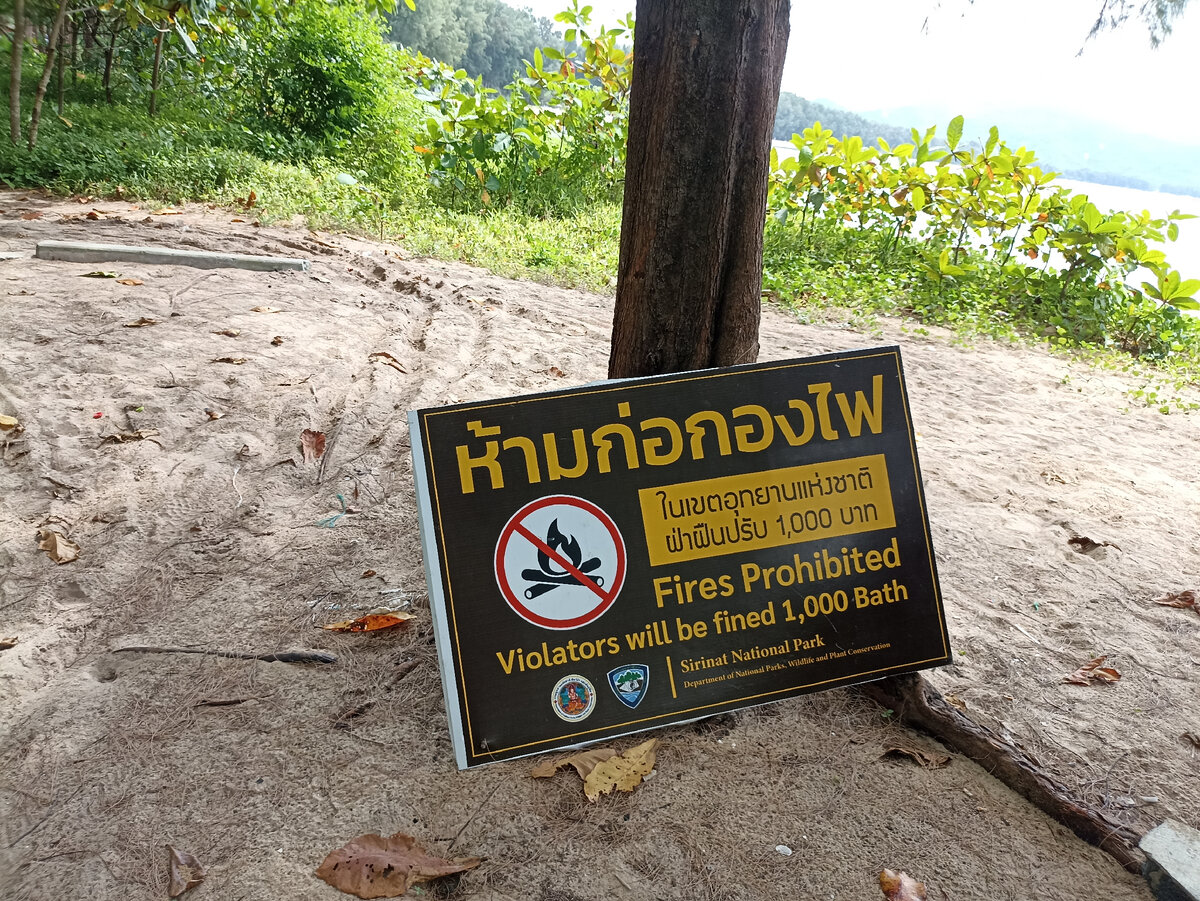 Разведение костров тоже запрещено