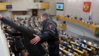 Законопроект о лишении мигрантов гражданства за отказ от воинской службы не понравился правительству